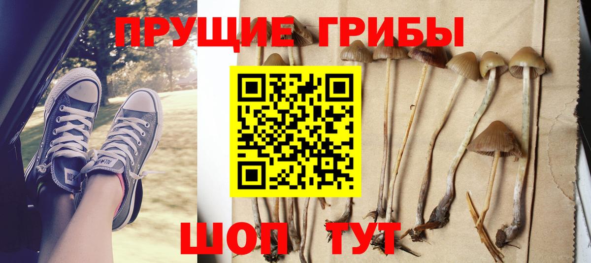Псилоцибиновые грибы ЛСД  Вход с VPN  Малгобек 