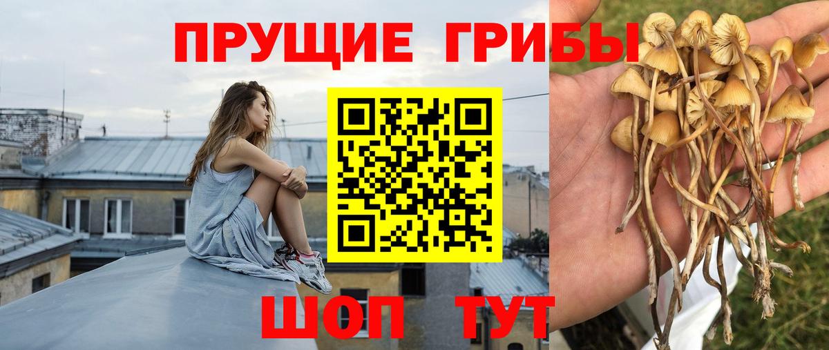Галлюциногенные грибы ЛСД Малгобек