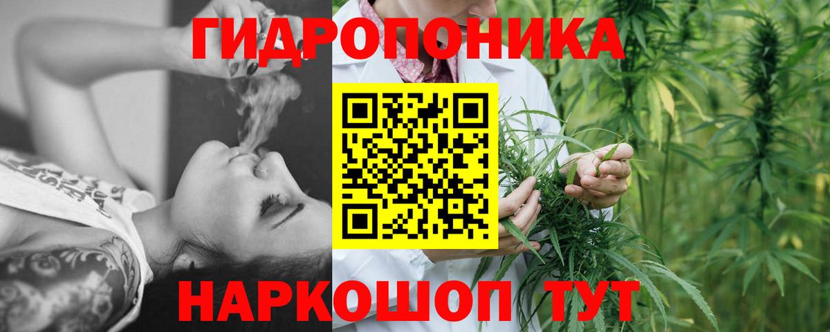 Конопля конопля  Вход с VPN  МАРИХУАНА сатива  Малгобек 